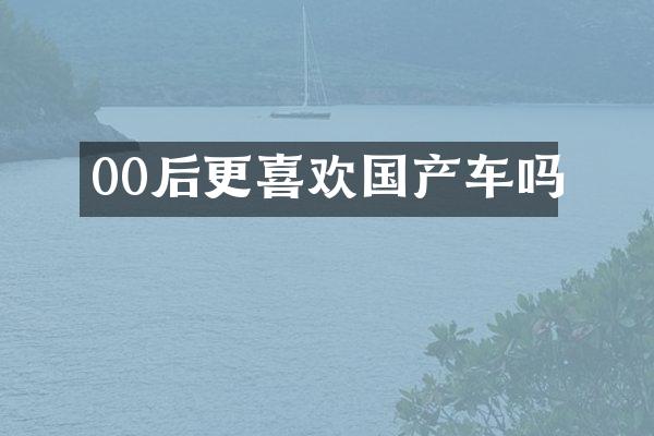 00后更喜欢国产车吗