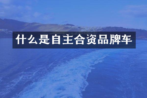 什么是自主合资品牌车