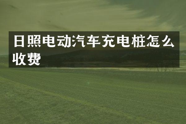 日照电动汽车充电桩怎么收费
