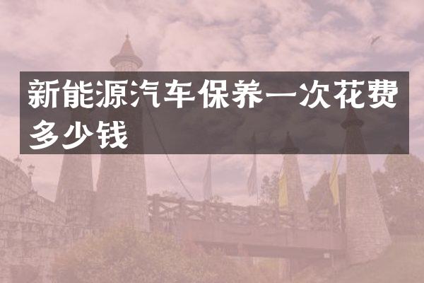 新能源汽车保养一次花费多少钱