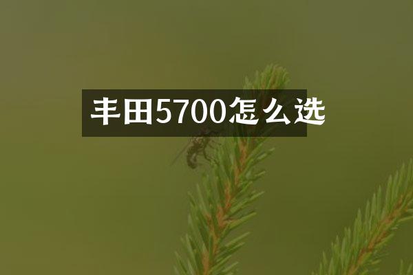 丰田5700怎么选