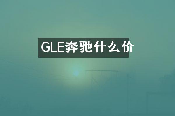 GLE奔驰什么价