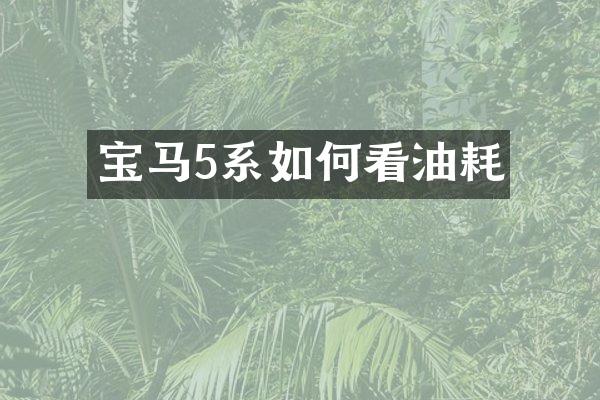 宝马5系如何看油耗