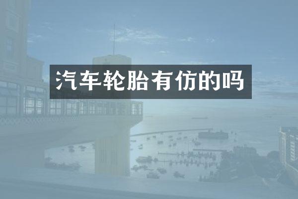 汽车轮胎有仿的吗