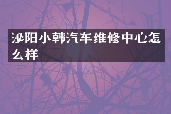 泌阳小韩汽车维修中心怎么样