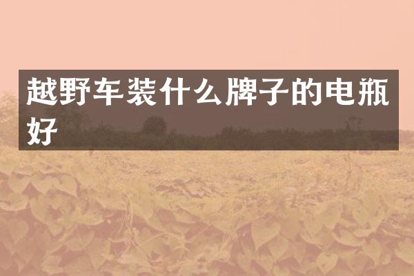越野车装什么牌子的电瓶好