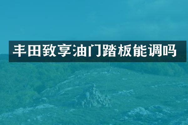 丰田致享油门踏板能调吗