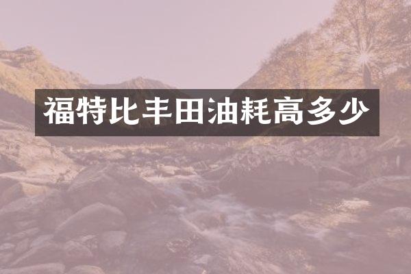 福特比丰田油耗高多少