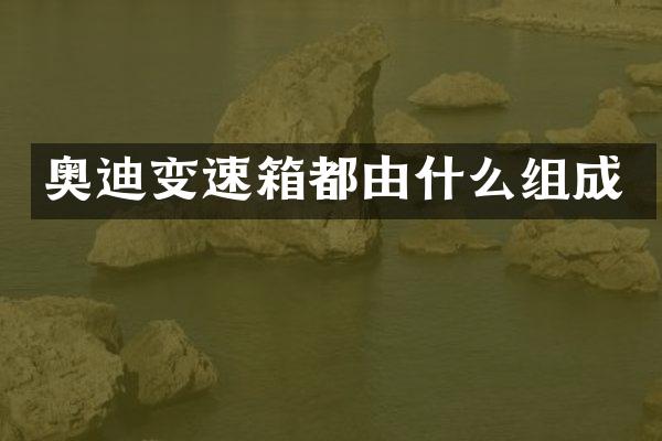 奥迪变速箱都由什么组成