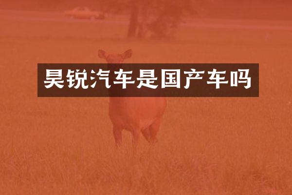 昊锐汽车是国产车吗