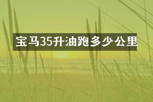 宝马35升油跑多少公里