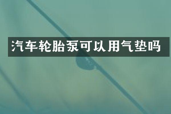 汽车轮胎泵可以用气垫吗