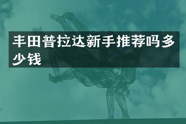 丰田普拉达新手推荐吗多少钱