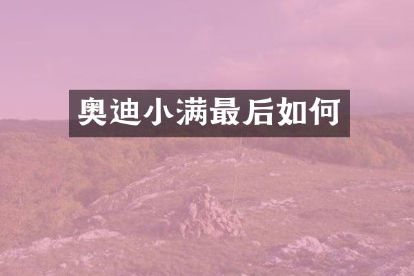奥迪小满最后如何
