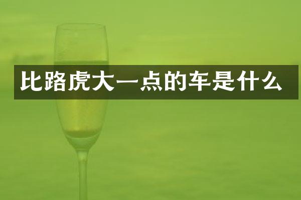 比路虎大一点的车是什么