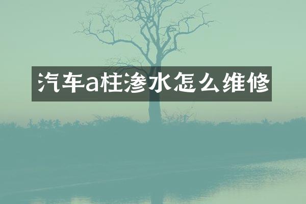 汽车a柱渗水怎么维修