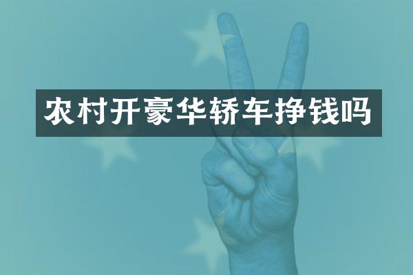 农村开豪华轿车挣钱吗