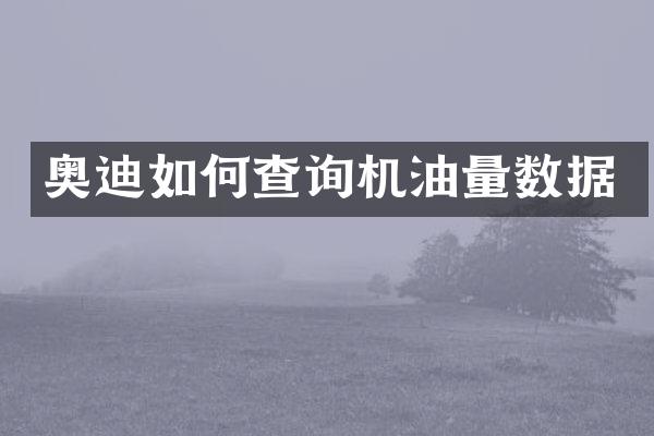 奥迪如何查询机油量数据