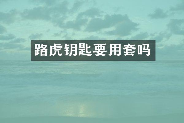 路虎钥匙要用套吗