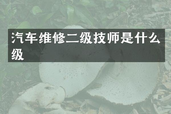 汽车维修二级技师是什么级