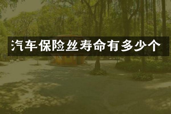 汽车保险丝寿命有多少个