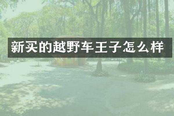 新买的越野车王子怎么样