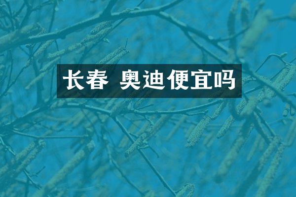 长春 奥迪便宜吗