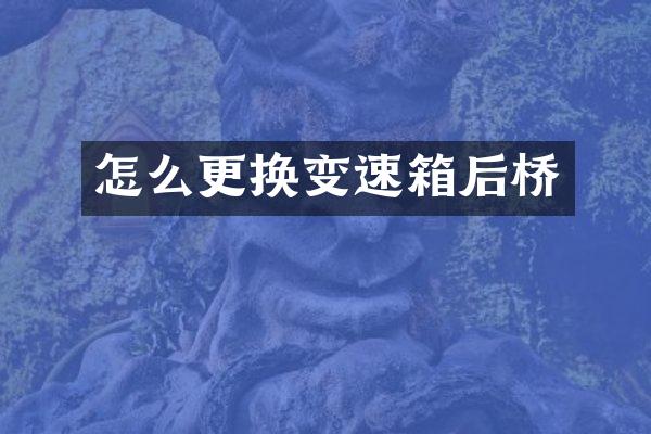 怎么更换变速箱后桥