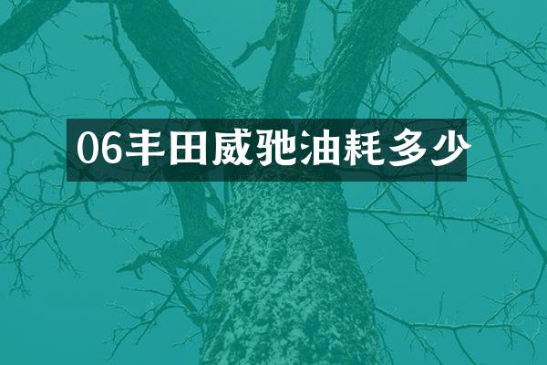 06丰田威驰油耗多少
