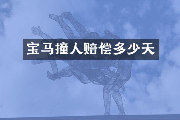 宝马撞人赔偿多少天