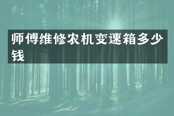 师傅维修农机变速箱多少钱