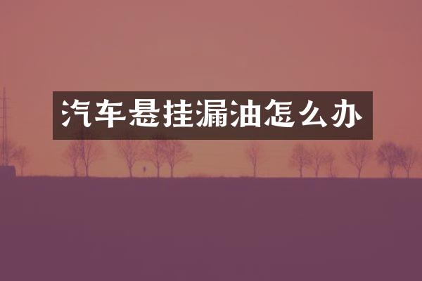 汽车悬挂漏油怎么办
