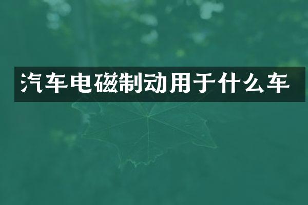 汽车电磁制动用于什么车
