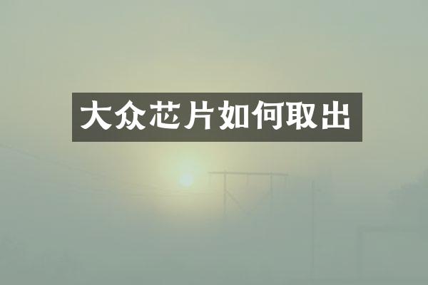 大众芯片如何取出