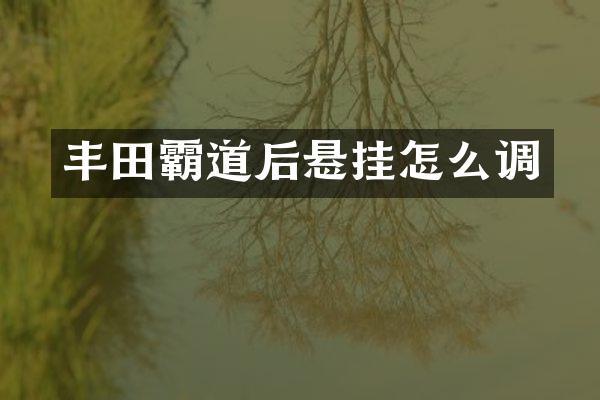 丰田霸道后悬挂怎么调