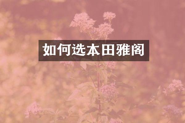 如何选本田雅阁
