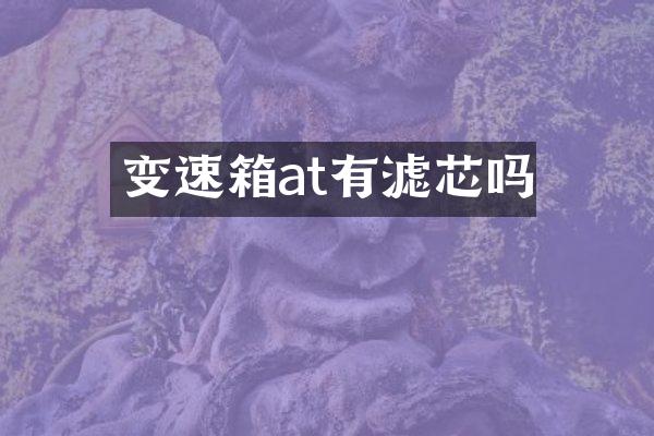 变速箱at有滤芯吗