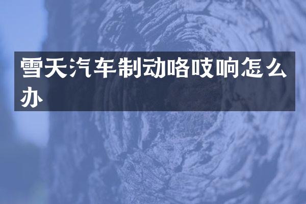 雪天汽车制动咯吱响怎么办
