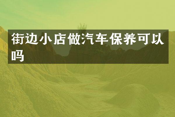 街边小店做汽车保养可以吗