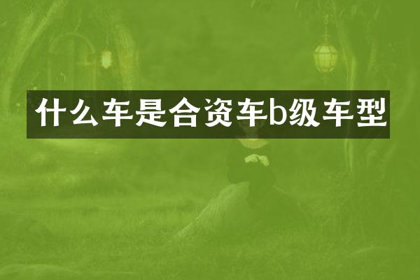 什么车是合资车b级车型