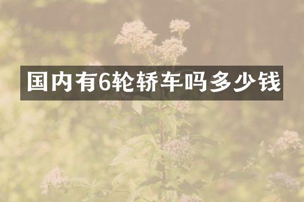 国内有6轮轿车吗多少钱