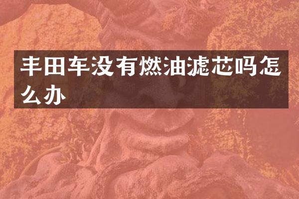 丰田车没有燃油滤芯吗怎么办