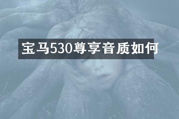 宝马530尊享音质如何
