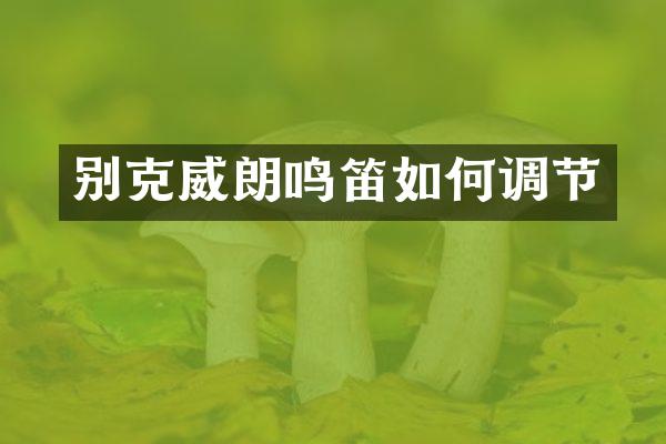 别克威朗鸣笛如何调节