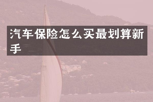 汽车保险怎么买最划算新手