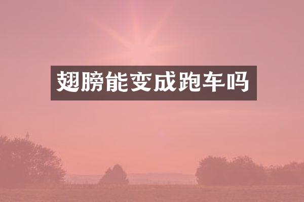 翅膀能变成跑车吗