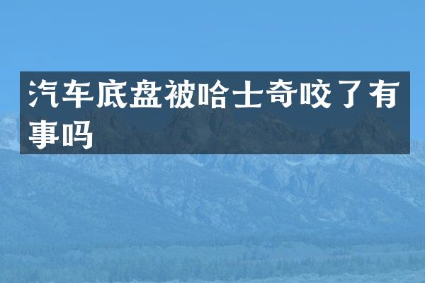 汽车底盘被哈士奇咬了有事吗