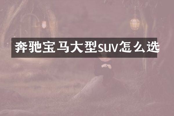 奔驰宝马大型suv怎么选