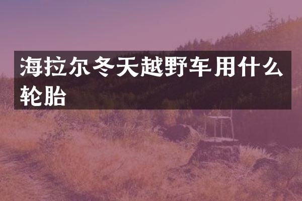 海拉尔冬天越野车用什么轮胎