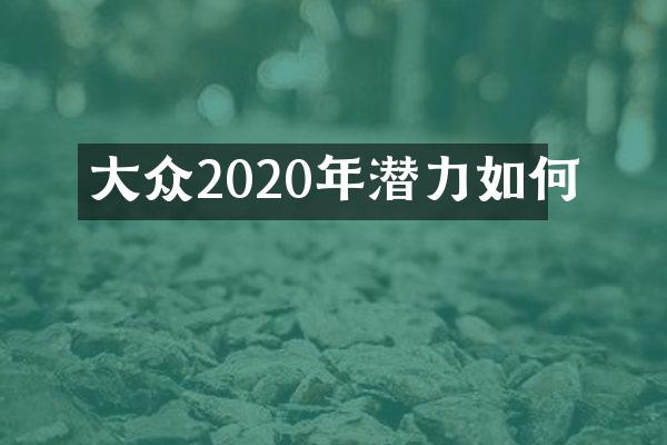 大众2020年潜力如何